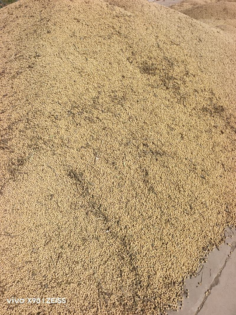 江苏-黄豆-黄黄豆南通-黄豆启东烂黄豆感兴趣的老板联