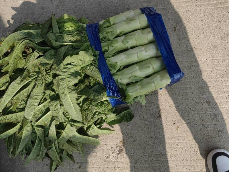 莴笋