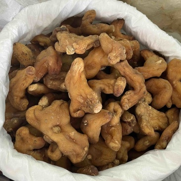 云南大个滇黄精无杂质成色好产地直发,欢迎咨询