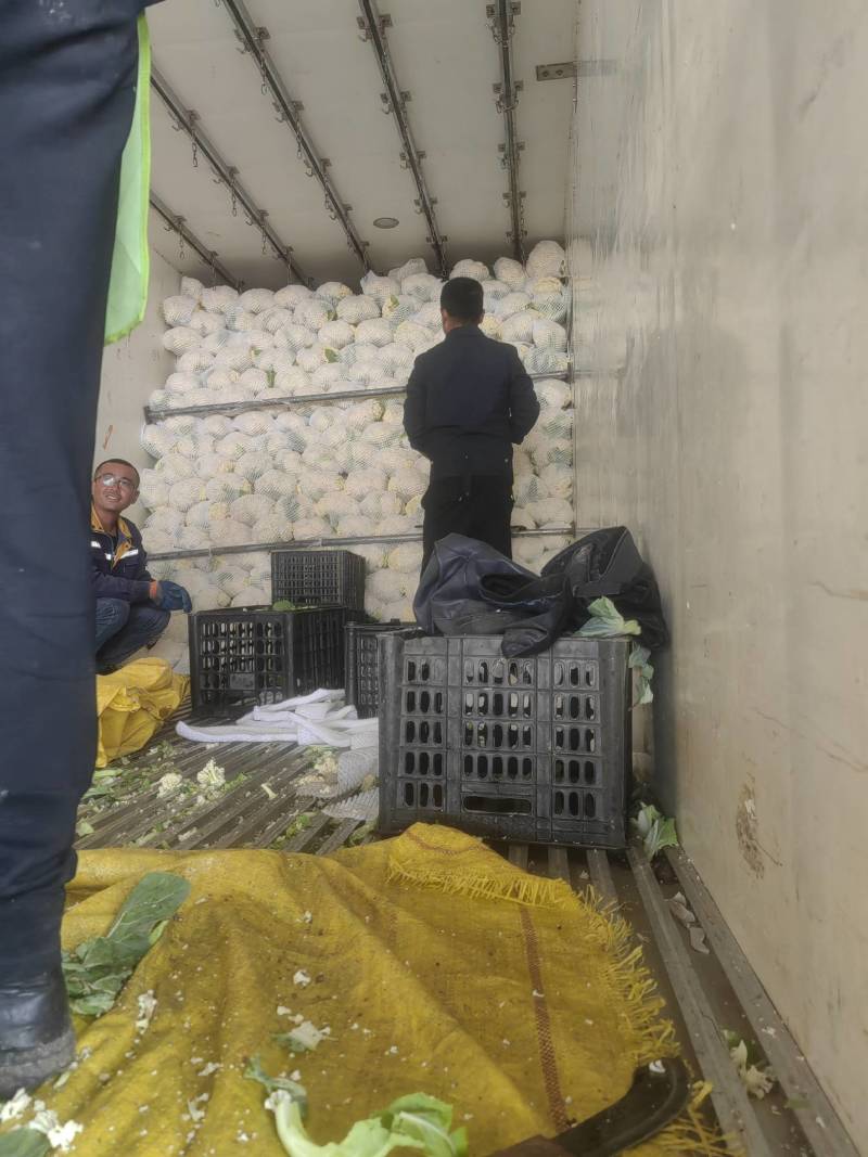 精品有机花价格底需要的联系