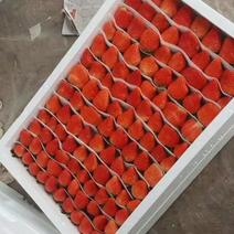 徐州贾汪草莓宁玉草莓大量上市现摘先发欢迎到我地现场考察