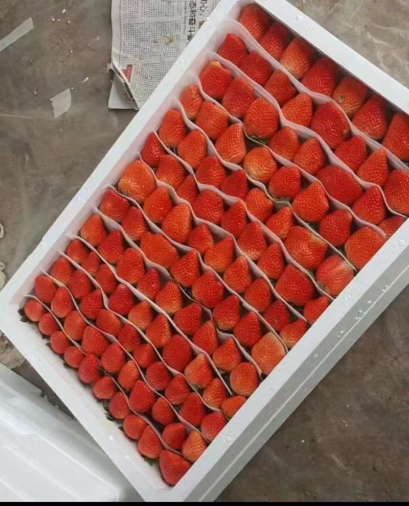 徐州贾汪草莓宁玉草莓大量上市现摘先发欢迎到我地现场考察看货