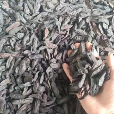 手上有现货