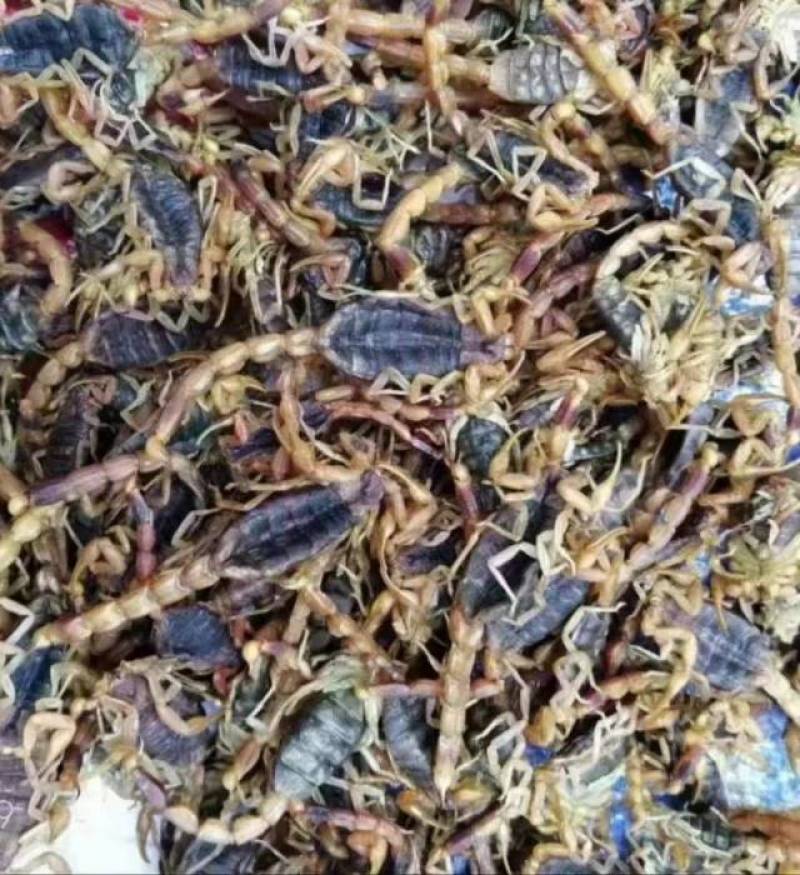 手上有现货
