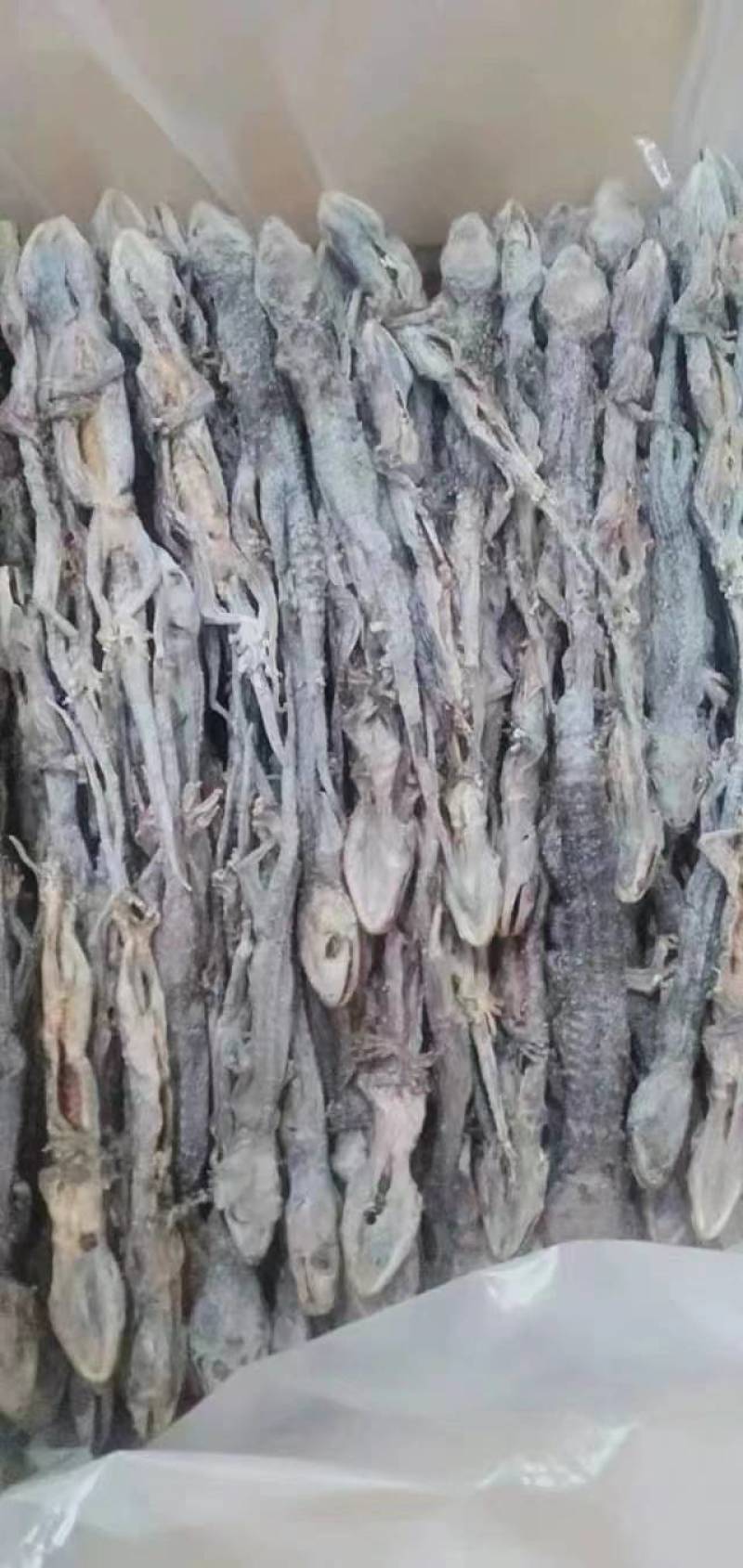 手上有现货