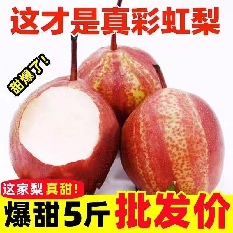 陕西彩虹梨9/5斤现货新鲜水果当季红皮梨子七彩梨包邮