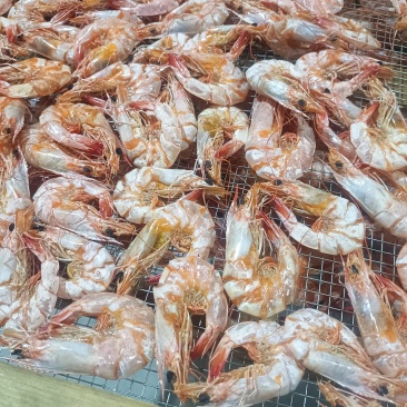 原味淡干足干大烤虾干，潮汕足干虾干。