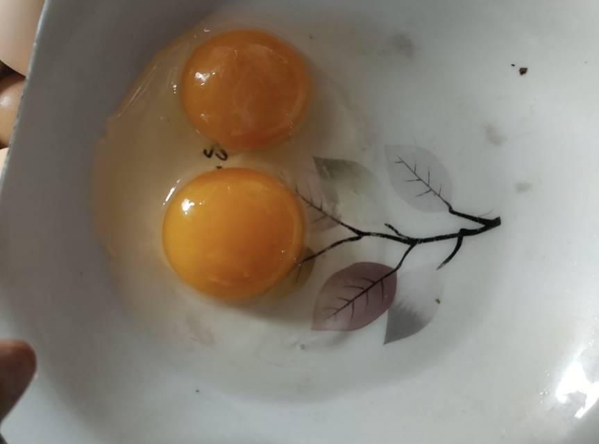 双黄鸡蛋特写