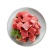 恒都精选牛碎肉500g*4原切谷饲牛肉生鲜冷冻发货