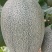 北海西周蜜25号大量上市，又甜又脆，欢迎订购！