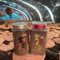 【牛】长白山灵芝孢子粉，250g一瓶，量大优惠包邮