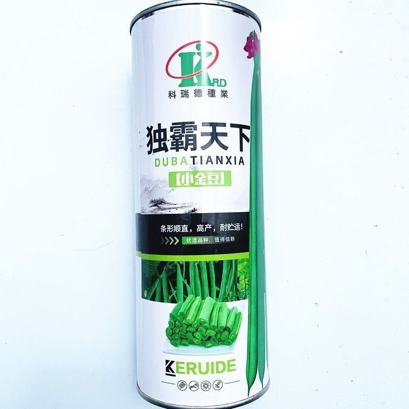 独霸天下小金豆四季豆肉厚春秋无筋豆角种子种子正品非转基因