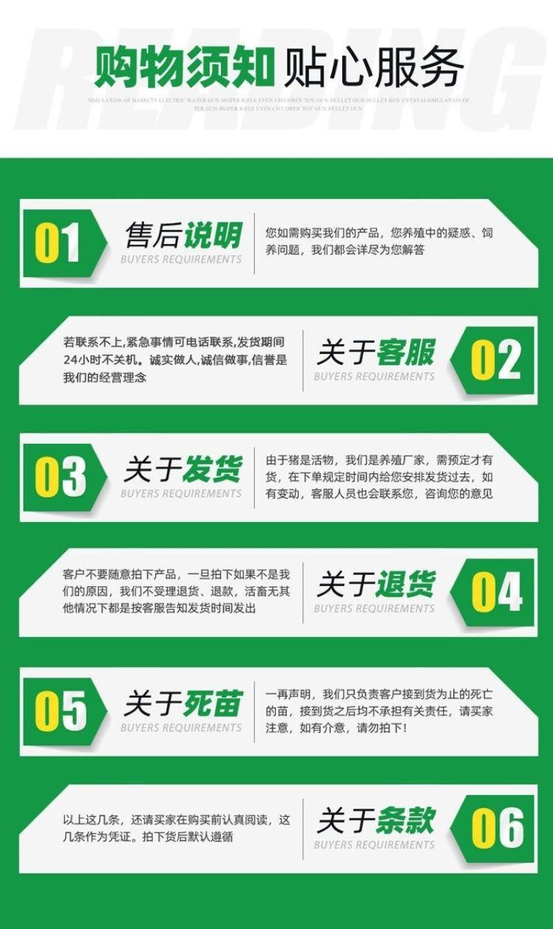 纯种藏香猪苗小猪仔幼崽散养种公猪怀孕母猪阉割公猪包活