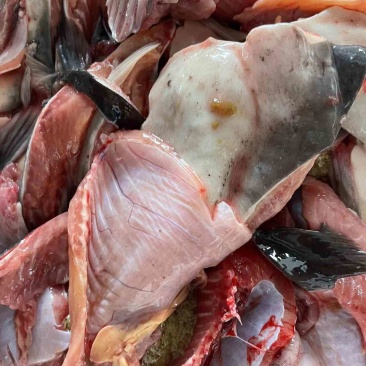 鱼腹肉