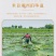 潮州东凤鸡头米2023新鲜芡实米真空包装锁鲜特级茨实5