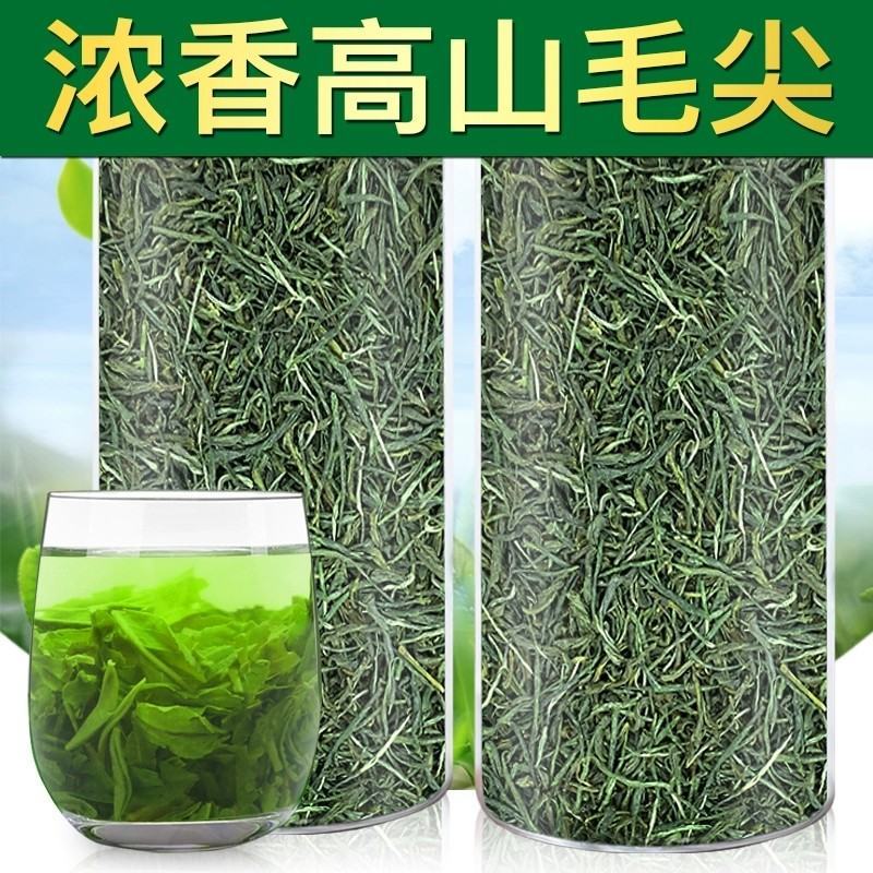 高山云雾毛尖绿茶早春新茶浓香型味浓耐泡400g袋装