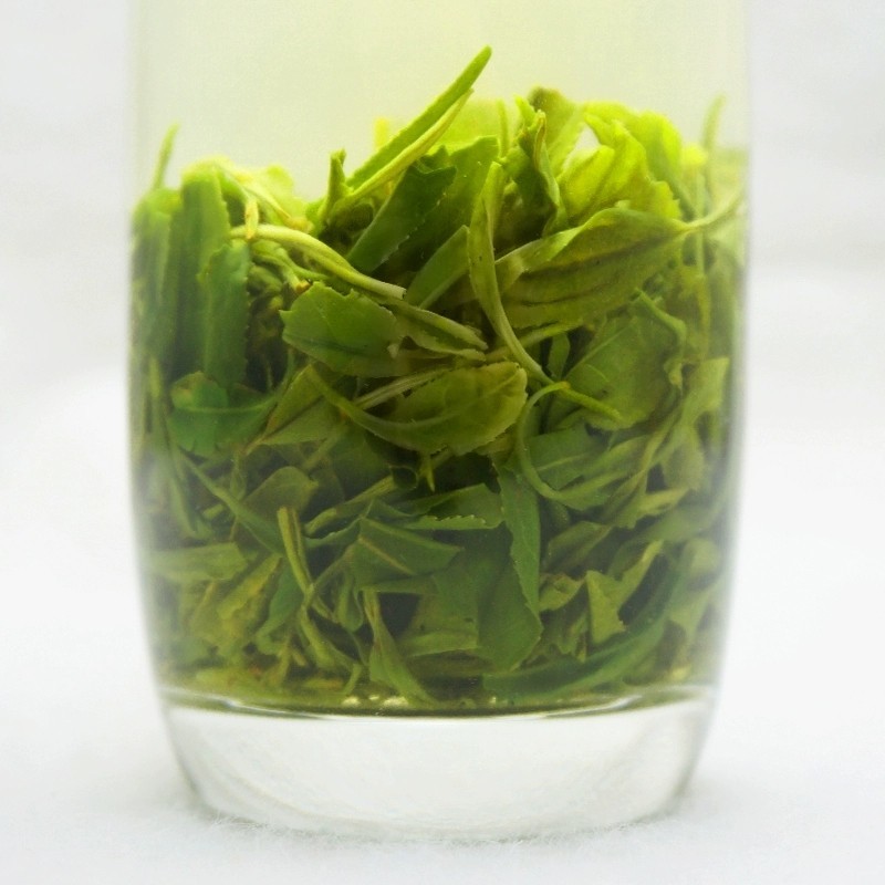 高山云雾毛尖绿茶早春新茶浓香型味浓耐泡400g袋装