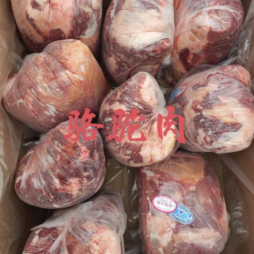 【骆驼肉】当地草原的骆驼肉！新鲜速冻卷包都有随机，量大优