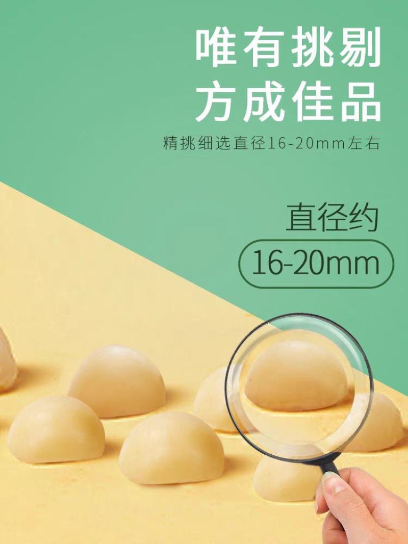 夏威夷果仁碎仁半粒500g原味生可可脆烘焙零食坚果即食熟