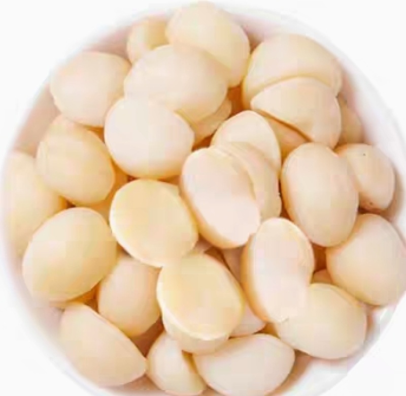 夏威夷果仁碎仁半粒500g原味生可可脆烘焙零食坚果即食熟