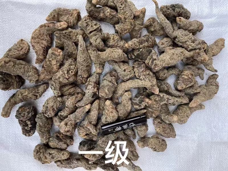 河南焦作特产生地个