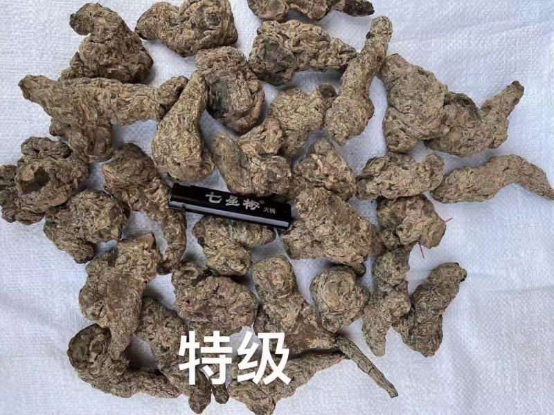 河南焦作特产生地个