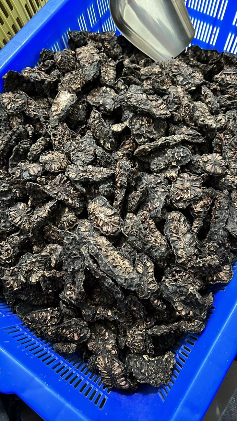 诺丽果干大量有货诚信经营质量保证欢迎老板来电