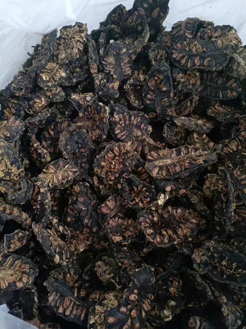 诺丽果干大量有货诚信经营质量保证欢迎老板来电