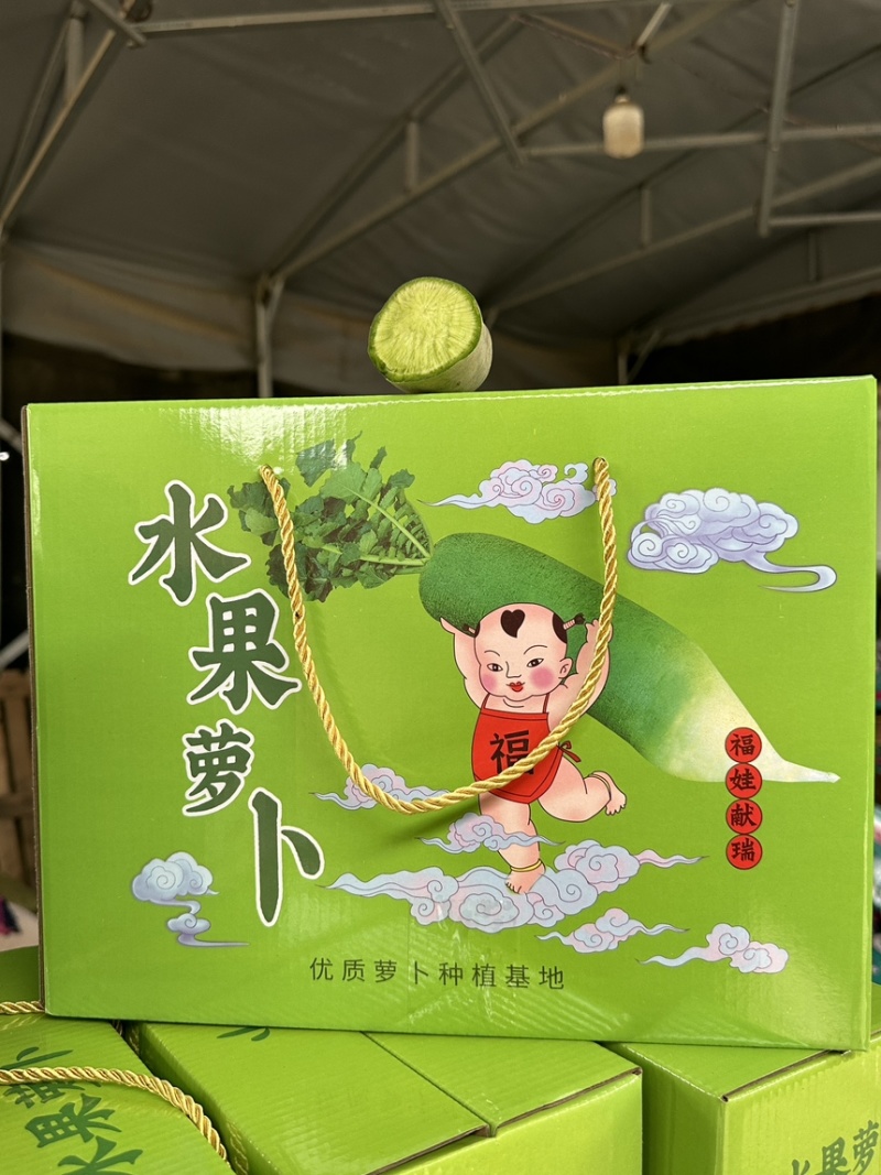水果潍县萝卜，一级货，青萝卜个个青茬，不糠，产地现货