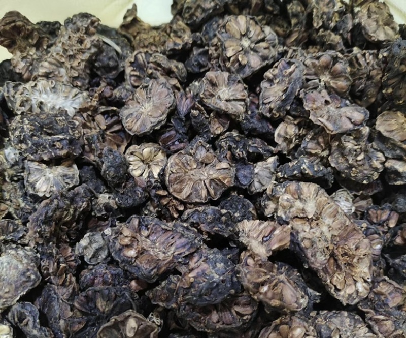 海南富硒诺丽果干茶厂家大量有货欢迎老板电话联系