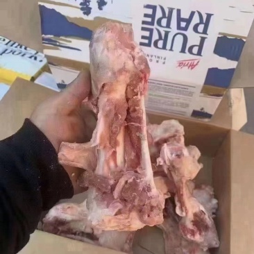 22厂后肘骨