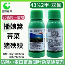 43%2甲双氟磺草胺小麦田除草剂播娘蒿荠菜猪殃殃灰灰菜