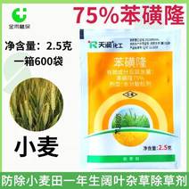 75%苯磺隆小麦苗后除草剂防除一年生阔叶杂草播娘篙荠菜