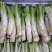 萝卜儿菜大头菜棒棒青菜莲花白大白菜