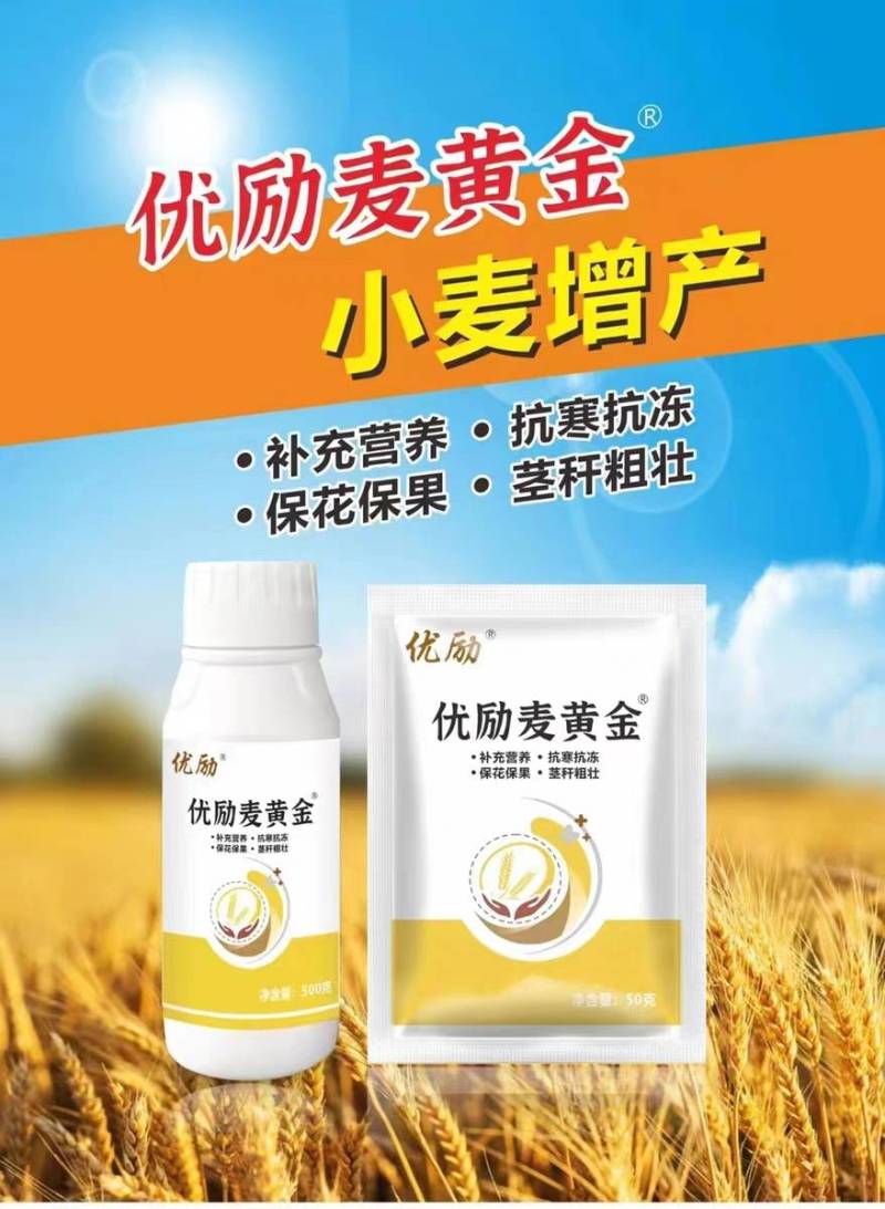 麦黄金小麦增产高产专用叶面肥壮苗促秆矮化植株促反青抗倒伏