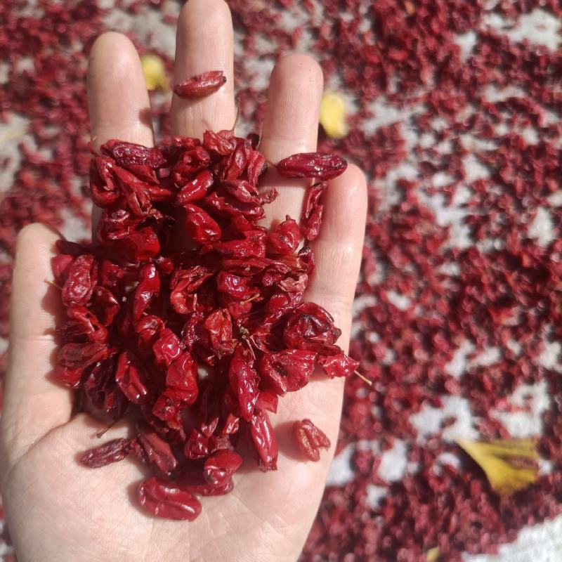 山茱萸