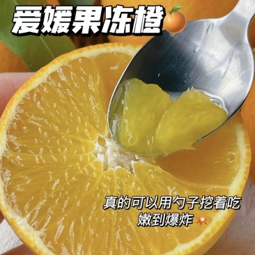 爱媛果冻橙，皮薄肉嫩，口口爆汁，产地直销一手货源发全国