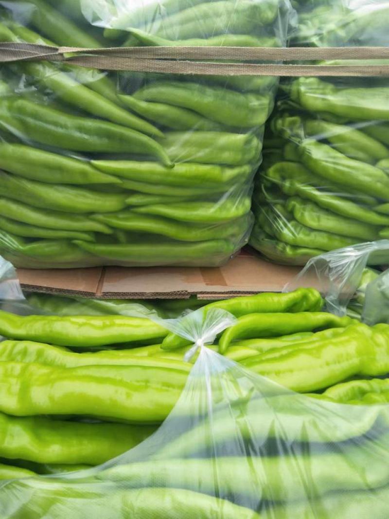 辣椒量大供应质优价廉欢迎各位客商光临