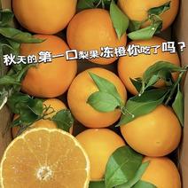 四川爱媛38号果冻橙，产地直销果肉细腻多汁货源充足