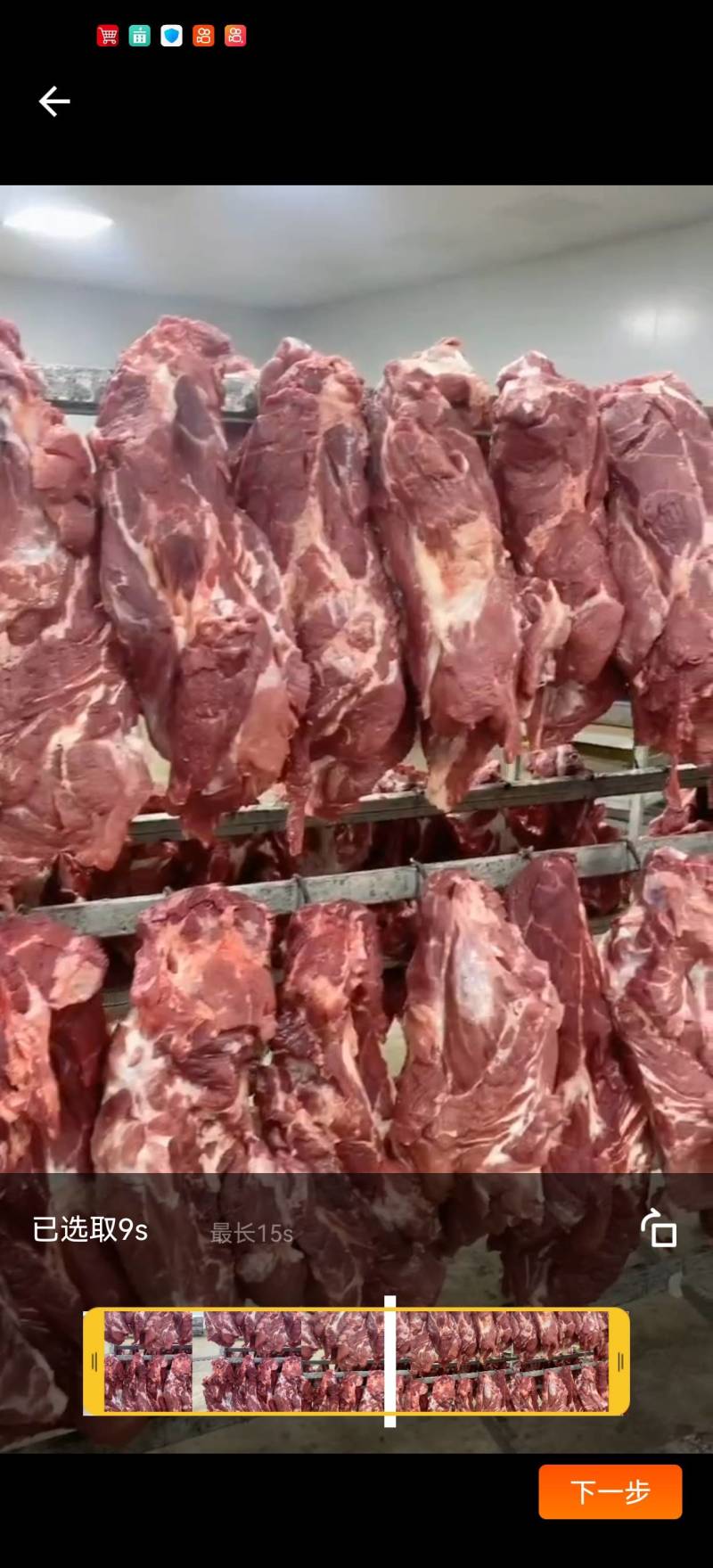 母猪一号肉