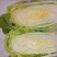 大白菜新北京三号大白菜，大量有货货源充足欢迎各位老板联系