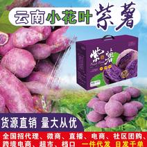 云南小花叶紫薯礼盒装！承接一件代发，欢迎微商，超市，电商
