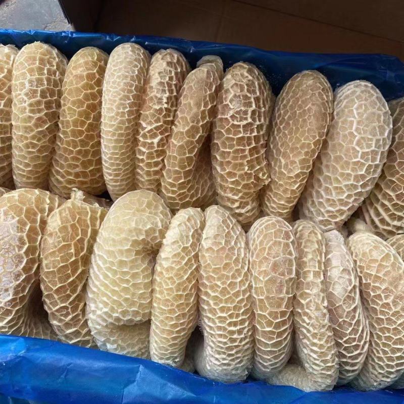 金钱肚优质金钱肚质量保障一手货源全国冷链发货