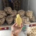福建南靖老黄姜精品大黄姜风干姜电商市场全国代发