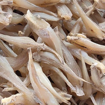 沙丁鱼展会地摊电商生产沙丁鱼沙甲鱼角肉肉角红娘鱼干