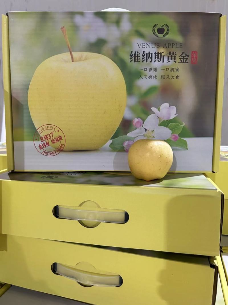 现货一件代发山东黄金维纳斯苹果产地直发对接平台