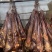 特干腊舍子(腊肉腊肠源头工厂量大从优)