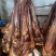 特干腊舍子(腊肉腊肠源头工厂量大从优)