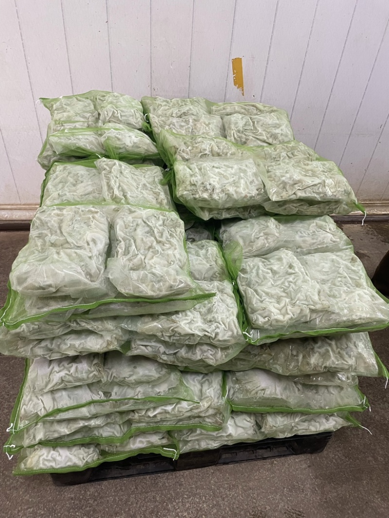 冰鲜现杀整只蛙肉切牛蛙块大中小号都有源头货