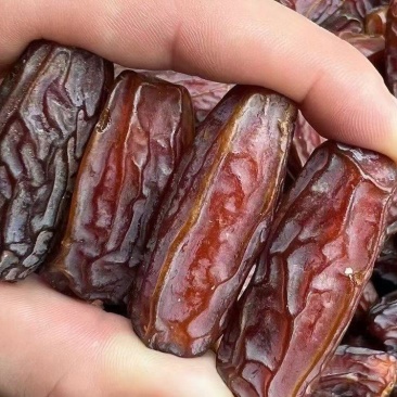 黄金椰枣